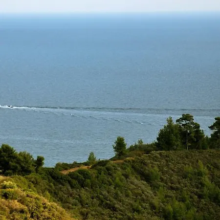 Aris * Agia Paraskevi (Kassandra)