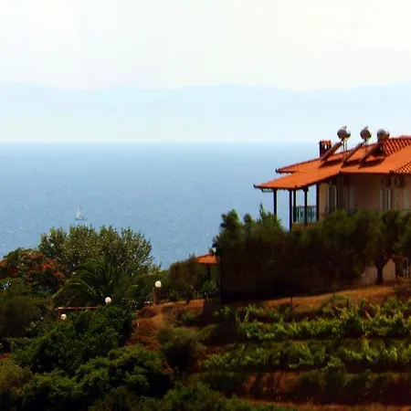 Aris * Agia Paraskevi (Kassandra)